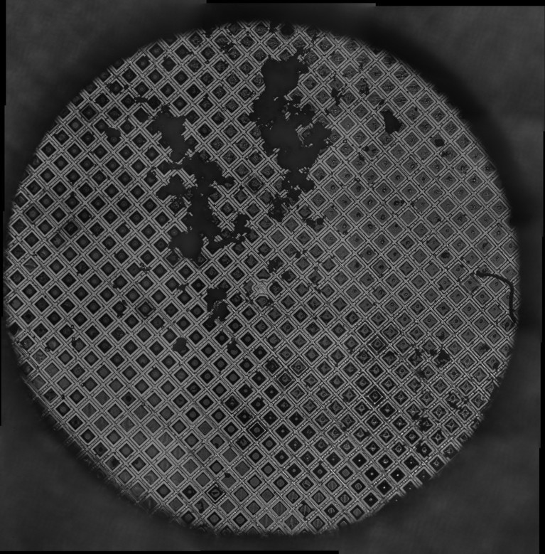 Whole-grid atlas montage acquired by the optical microscope