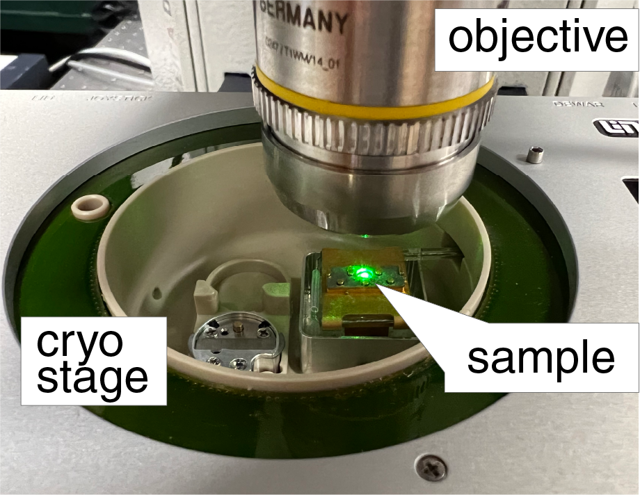 A vitrified sample loaded on the cooled CryoFlash cryo-stage beneath the optical objective